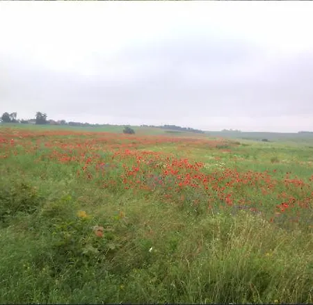 Gospodarstwo agroturystyczne Fajne Miejsce Jeziorany