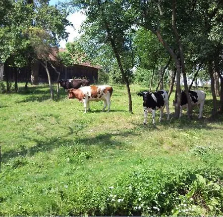 Fajne Miejsce Jeziorany