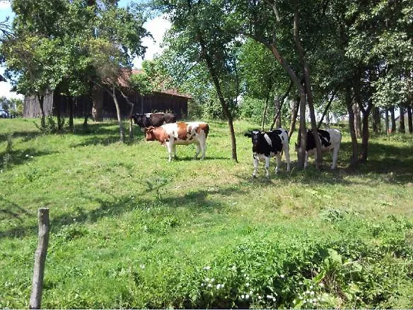 Fajne Miejsce Jeziorany